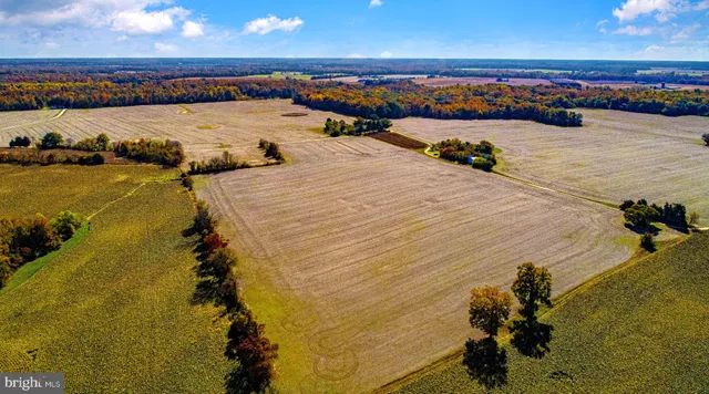 a view of an ocean and beach