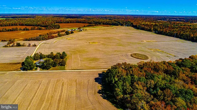 a view of a swimming pool and an outdoor space