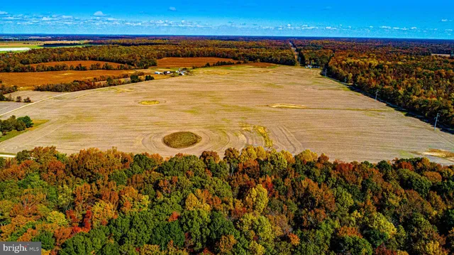 $1,000,000 | 10434 Big Stone Road, Millington, MD 21651