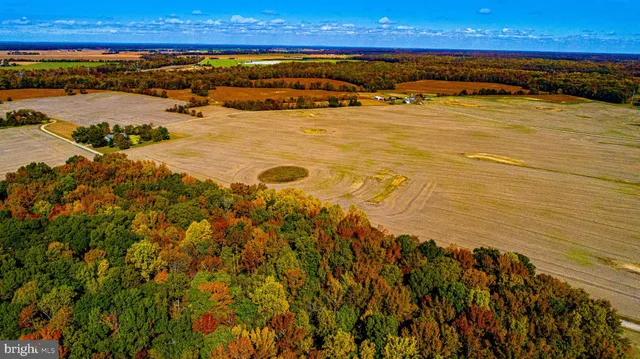 $1,000,000 | 10434 Big Stone Road, Millington, MD 21651