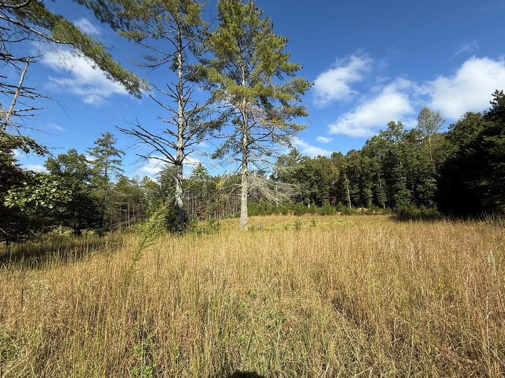 28 Joyce Road Murphy, NC 28906 - Photo 36 of 55 the meadows