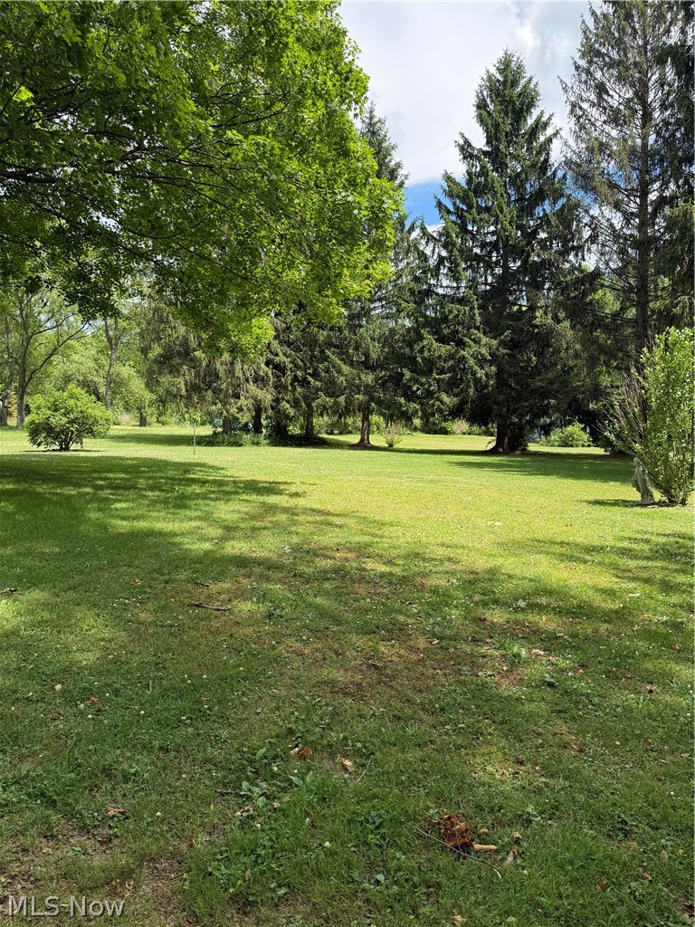 10993 Claridon Troy Road Chardon, OH 44024 - Photo 18 of 20 Expansive back yard