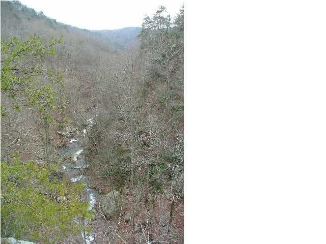 61 Tatum Mining Road Cloudland, GA 30731 - Photo 4 of 6 Additional Photo