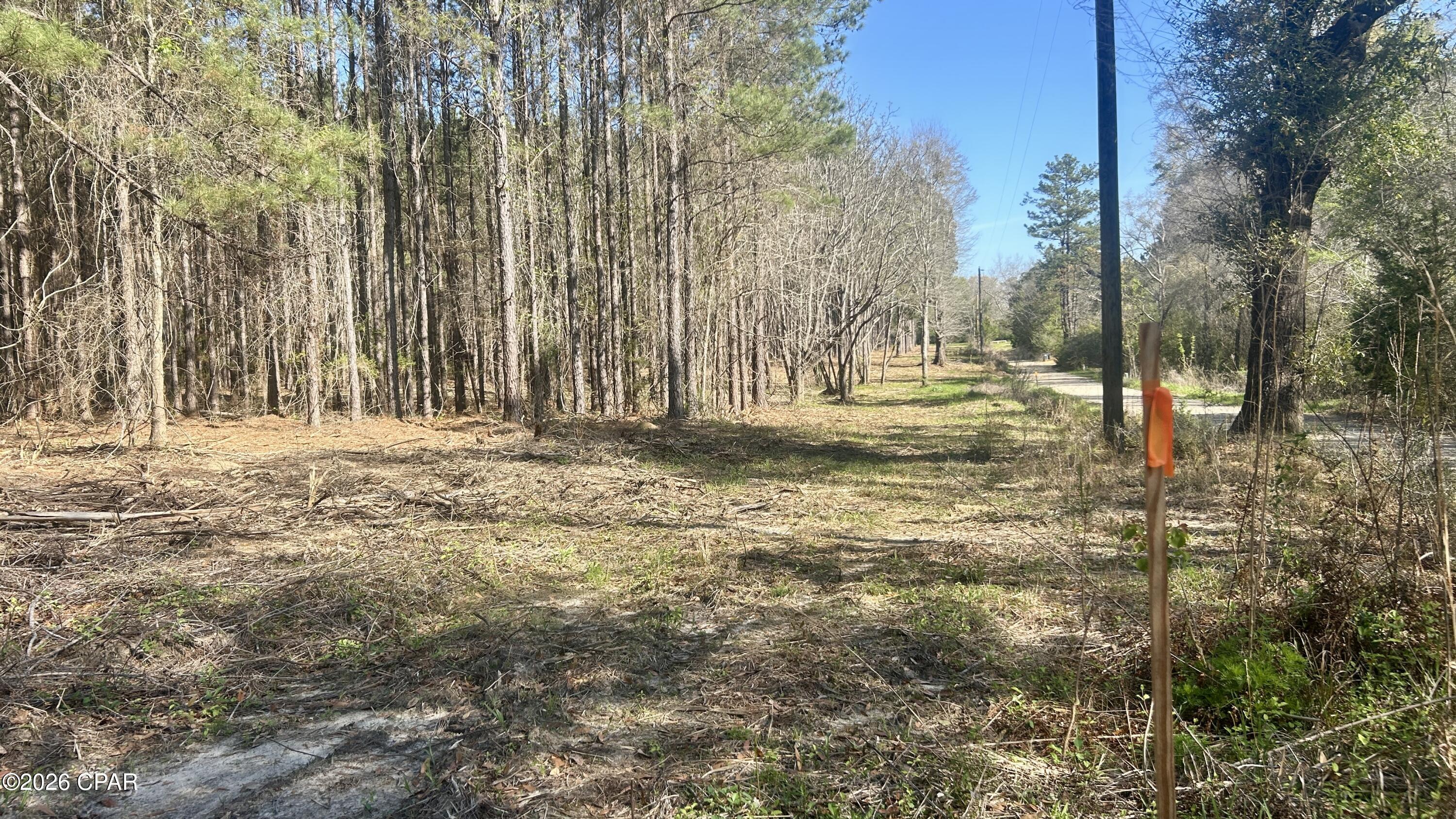 K Grimes Road Laurel Hill, FL 32567 - Photo 2 of 20 Gallery Image 2