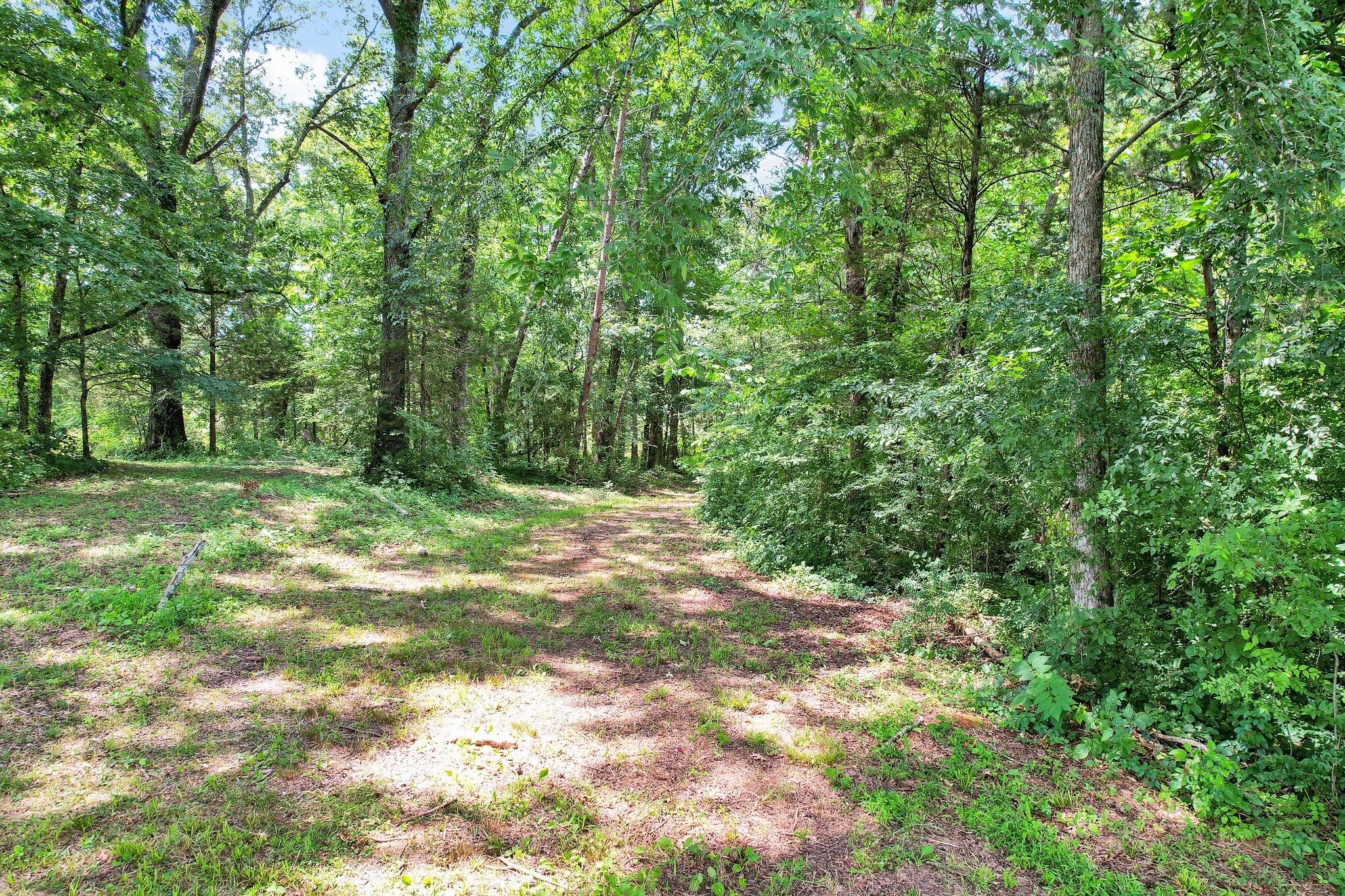 1 Snow Hill Road Ooltewah, TN 37363 - Photo 16 of 17 Gallery Image 16