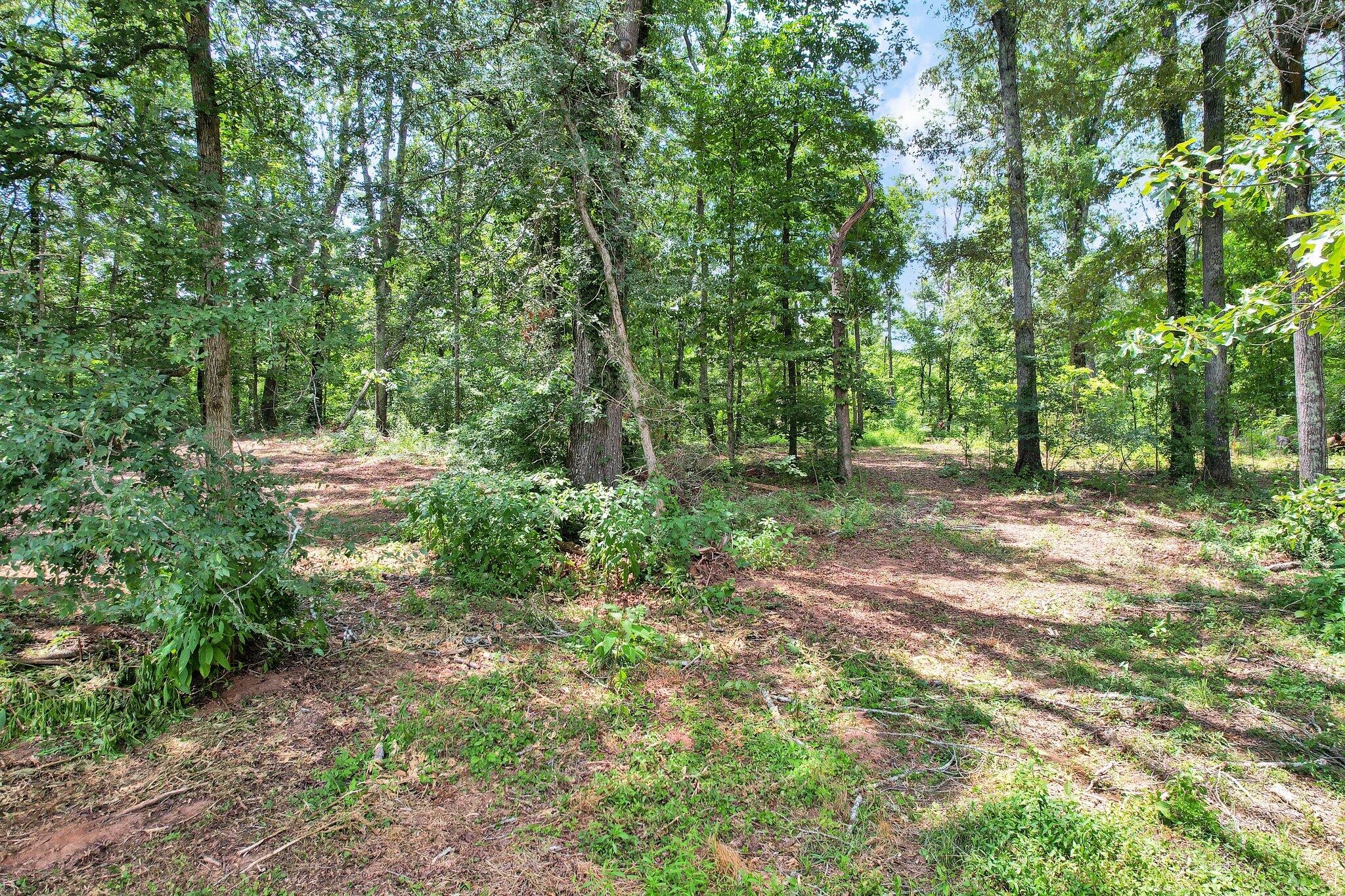 1 Snow Hill Road Ooltewah, TN 37363 - Photo 17 of 17 Gallery Image 17