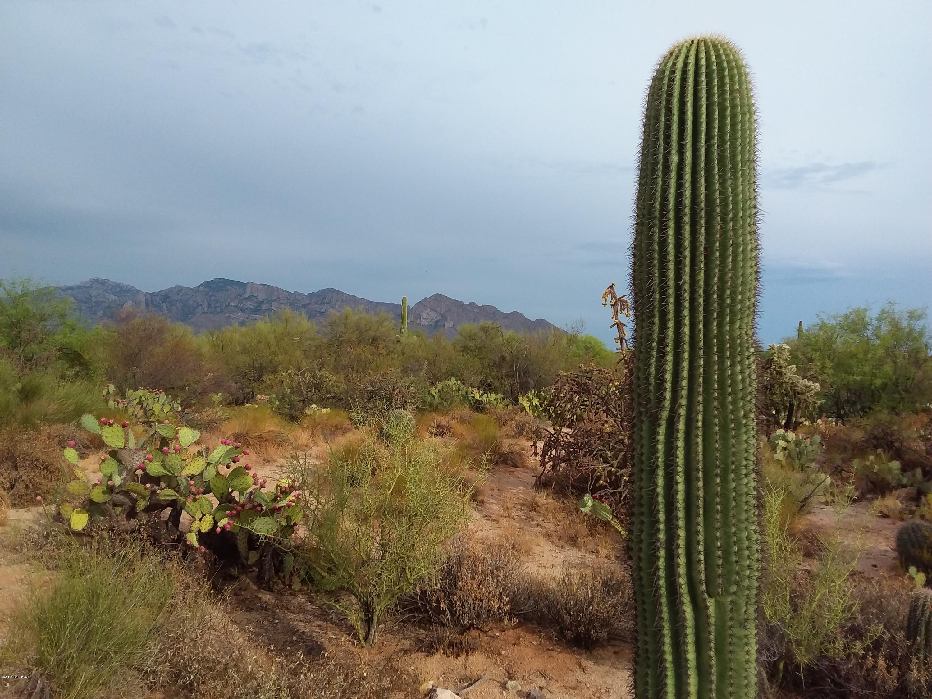2315 West Tangerine Road Tucson, AZ 85742 - Photo 4 of 27