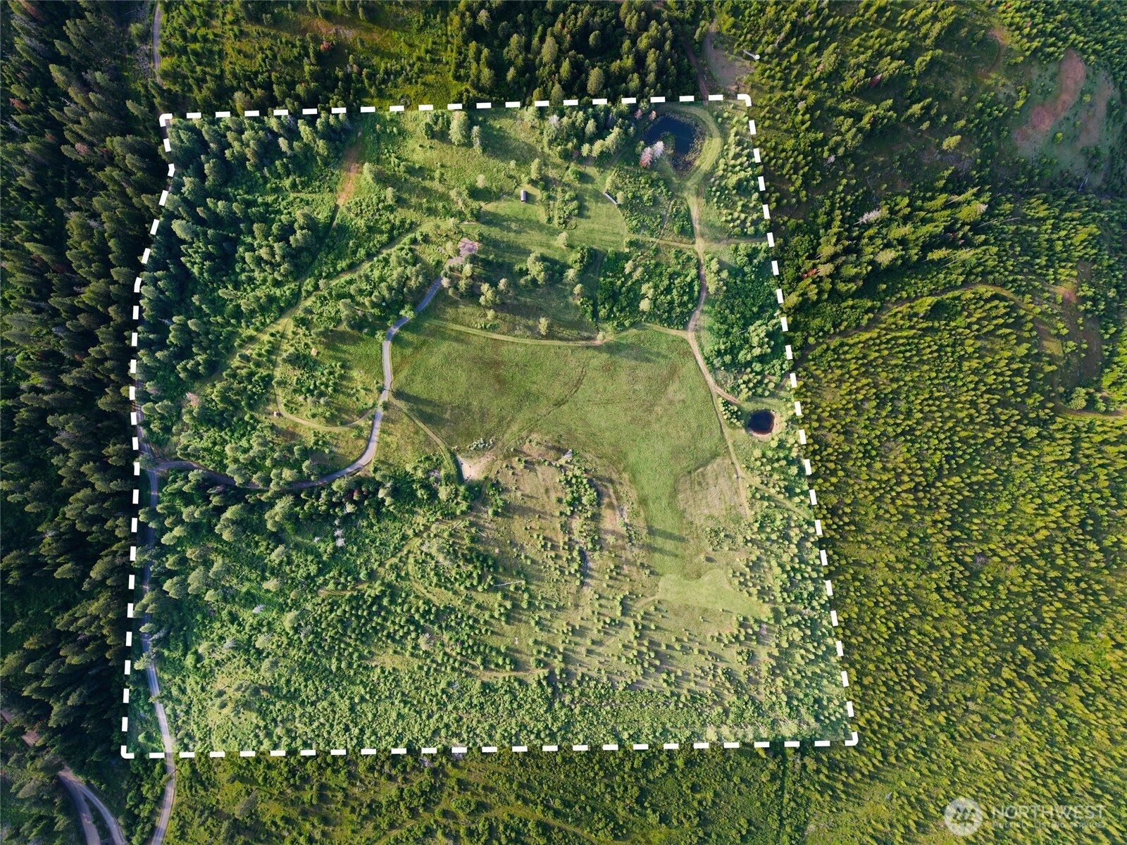 1335 Payne Hollow Road Dayton, WA 99328 - Photo 5 of 28