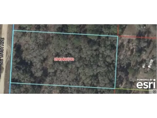 $29,000 | 131 131st, Morriston, FL 32668