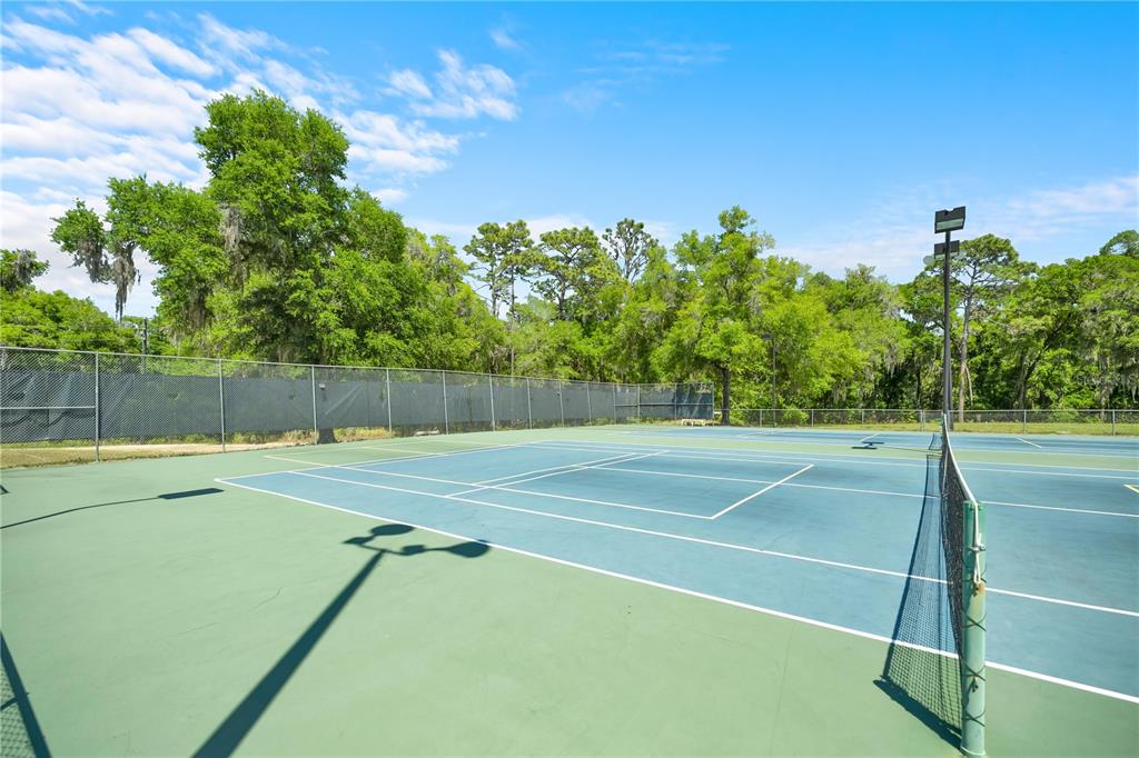 9239 Southwest 197th Circle Dunnellon, FL 34432 - Photo 42 of 57 a view of a tennis court