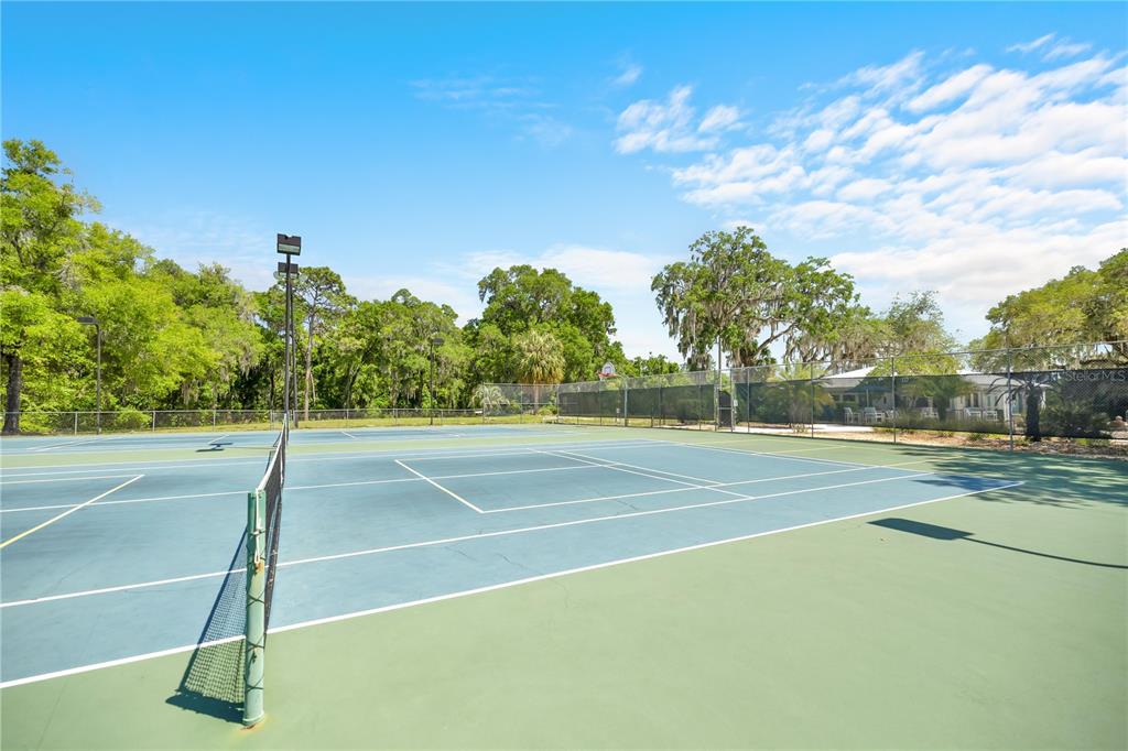 9239 Southwest 197th Circle Dunnellon, FL 34432 - Photo 43 of 57 a view of a tennis court