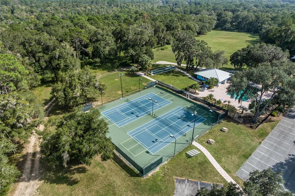 9239 Southwest 197th Circle Dunnellon, FL 34432 - Photo 55 of 57 a view of a lake with a yard