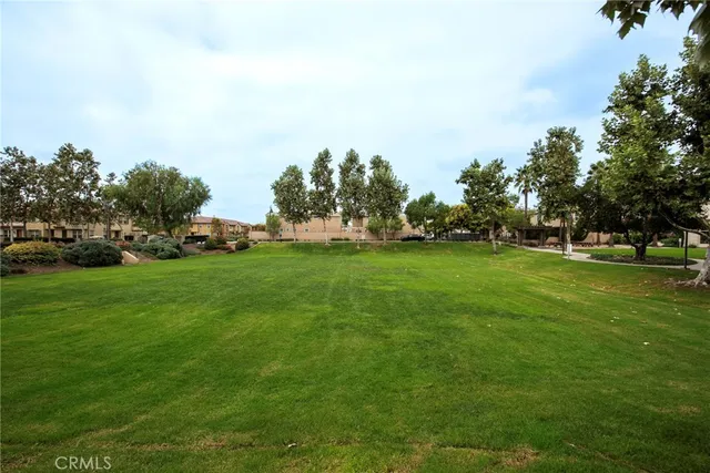 a view of yard with grass & trees