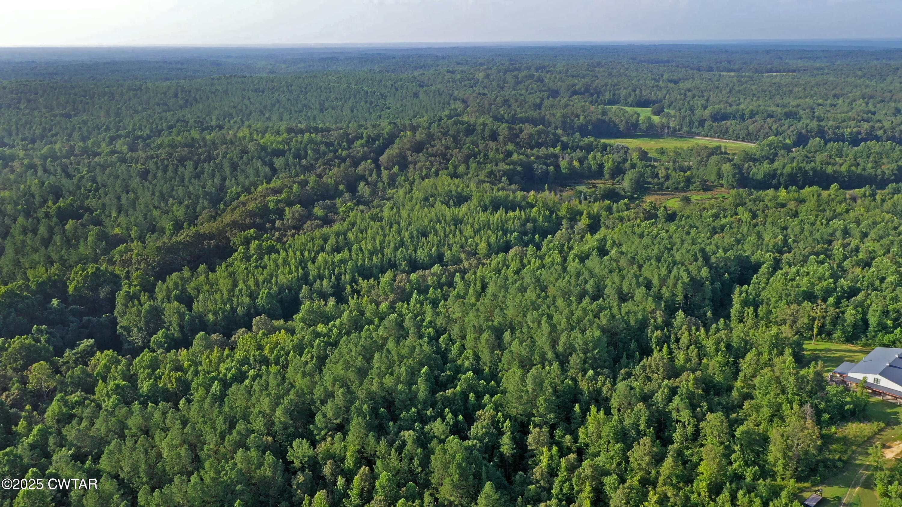 0 Roberts Road Pinson, TN 38366 - Photo 11 of 14 a view of a lush green forest with trees and some houses