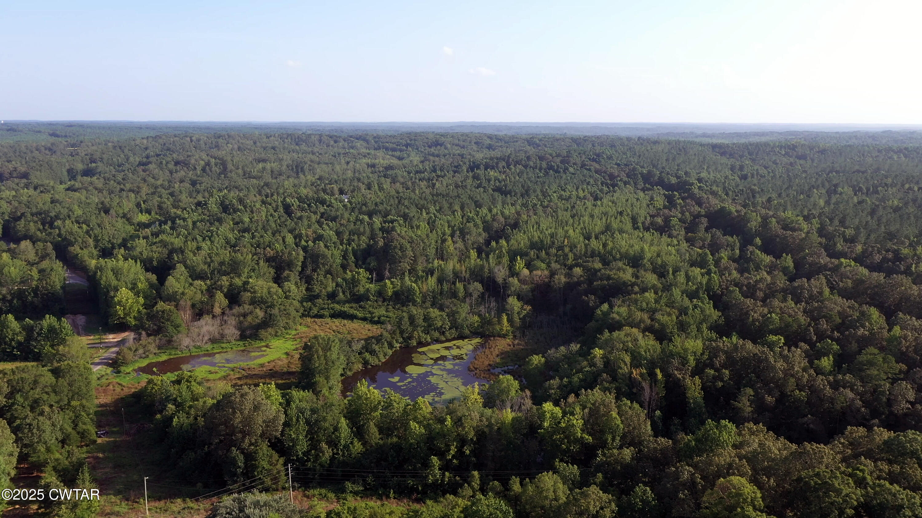 0 Roberts Road Pinson, TN 38366 - Photo 3 of 14 a view of a city with lush green forest