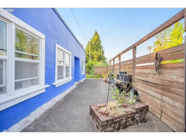 a view of a backyard with plants and large trees