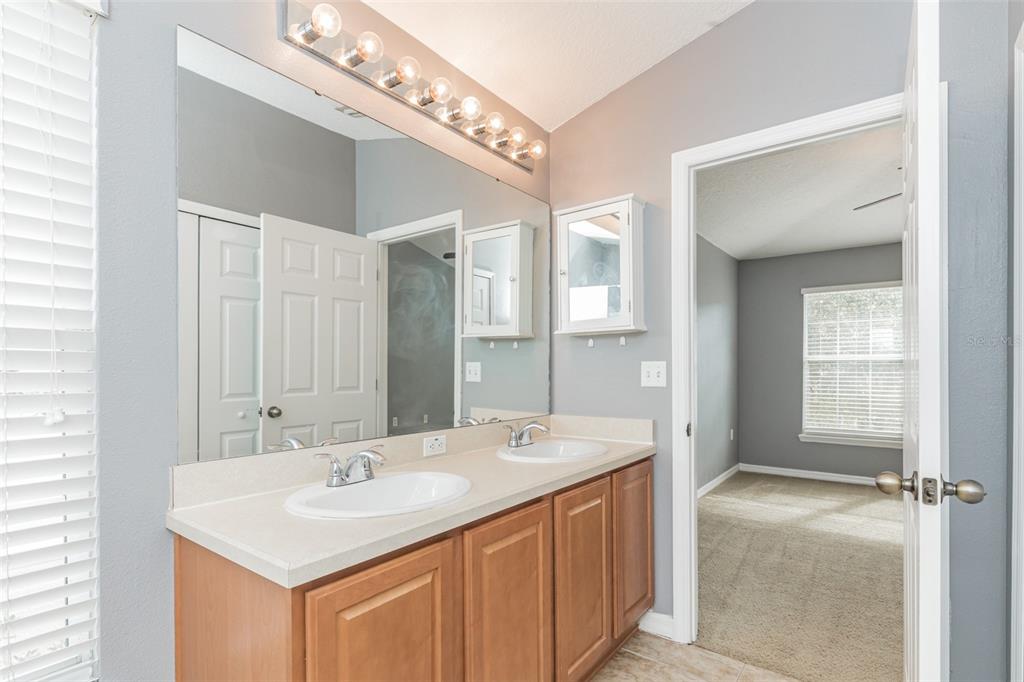 6723 Breezy Palm Drive Riverview, FL 33578 - Photo 12 of 16 a bathroom with a sink double vanity and a mirror