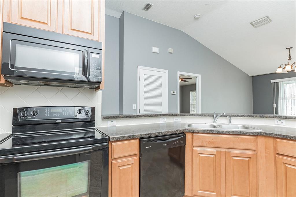 6723 Breezy Palm Drive Riverview, FL 33578 - Photo 6 of 16 a kitchen with granite countertop a stove microwave and sink