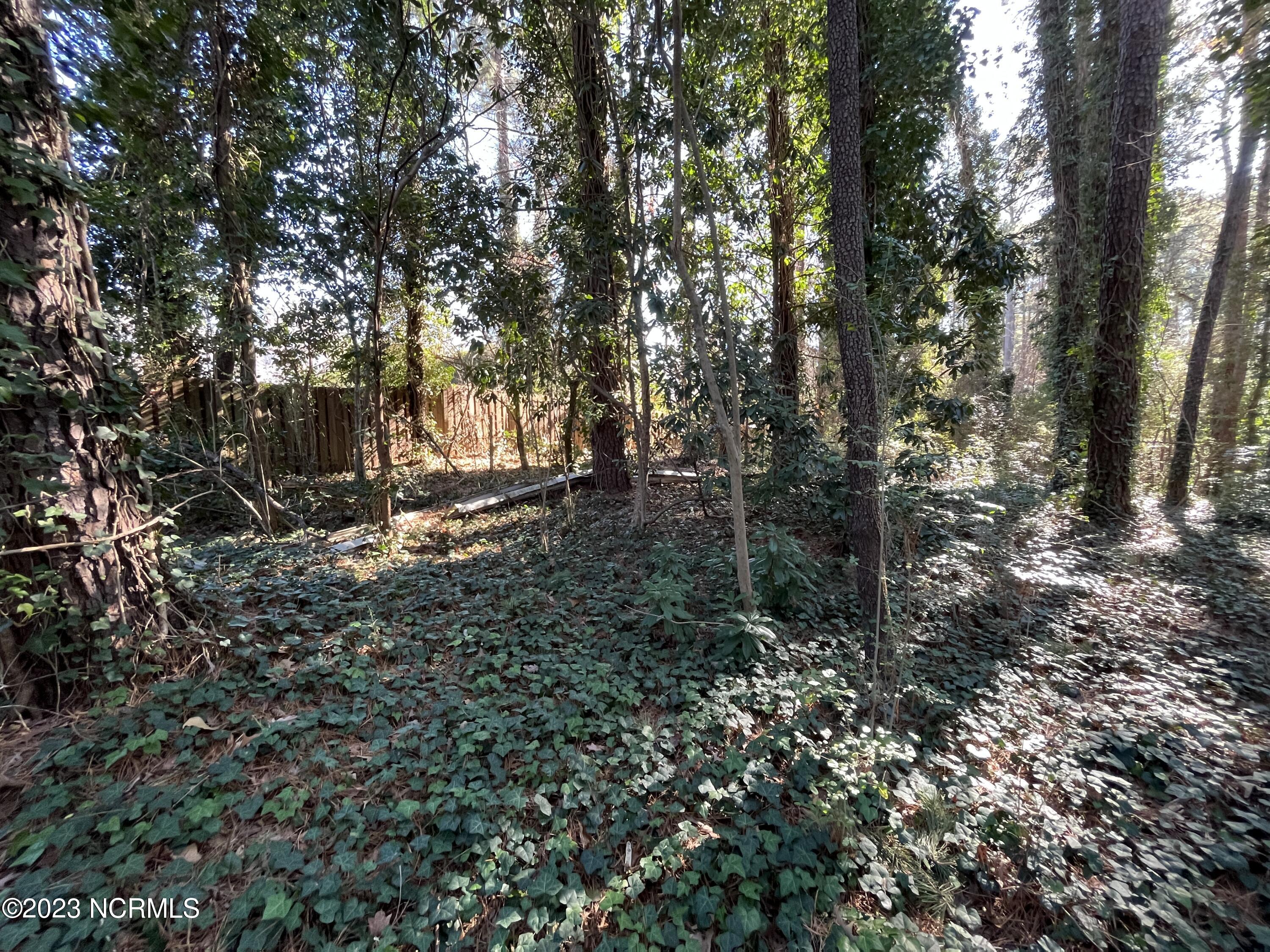 1209 Chaney Road Raleigh, NC 27606 - Photo 3 of 9 Land1 - 1209 Chaney Rd