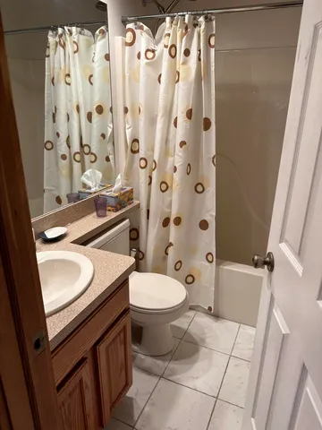 a bathroom with a sink a toilet and shower curtain