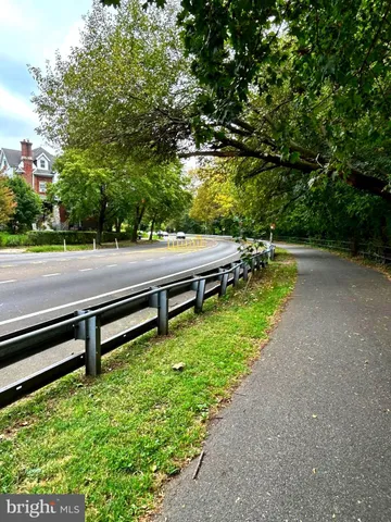 a view of a park with large trees