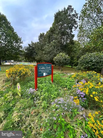a green field with lots of flowers in it