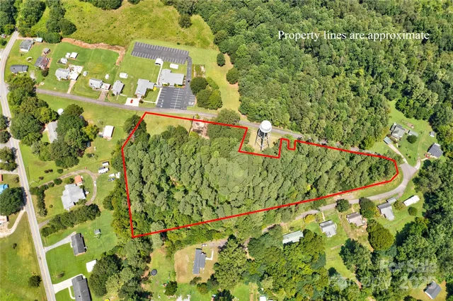 a picture of a tree with a flower plants