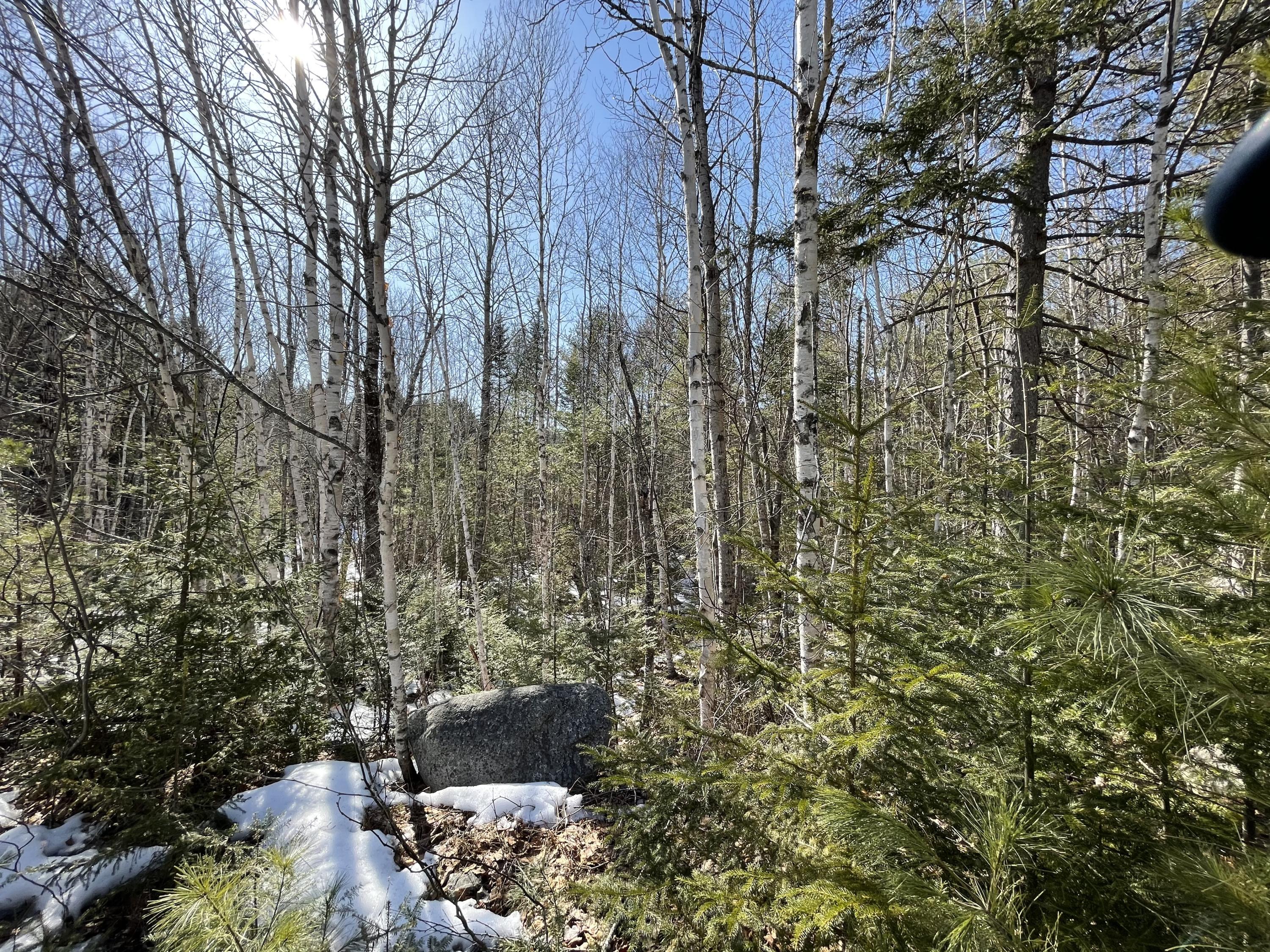 63-64 Kettle Ridge Northfield, ME 04654 - Photo 7 of 19 IMG-0816