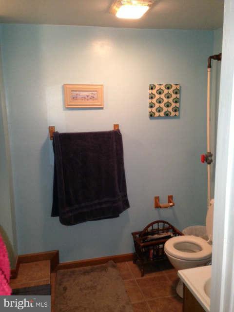 2140 Ballenger Creek Pike Point of Rocks, MD 21777 - Photo 16 of 23 a bathroom with a sink and a toilet