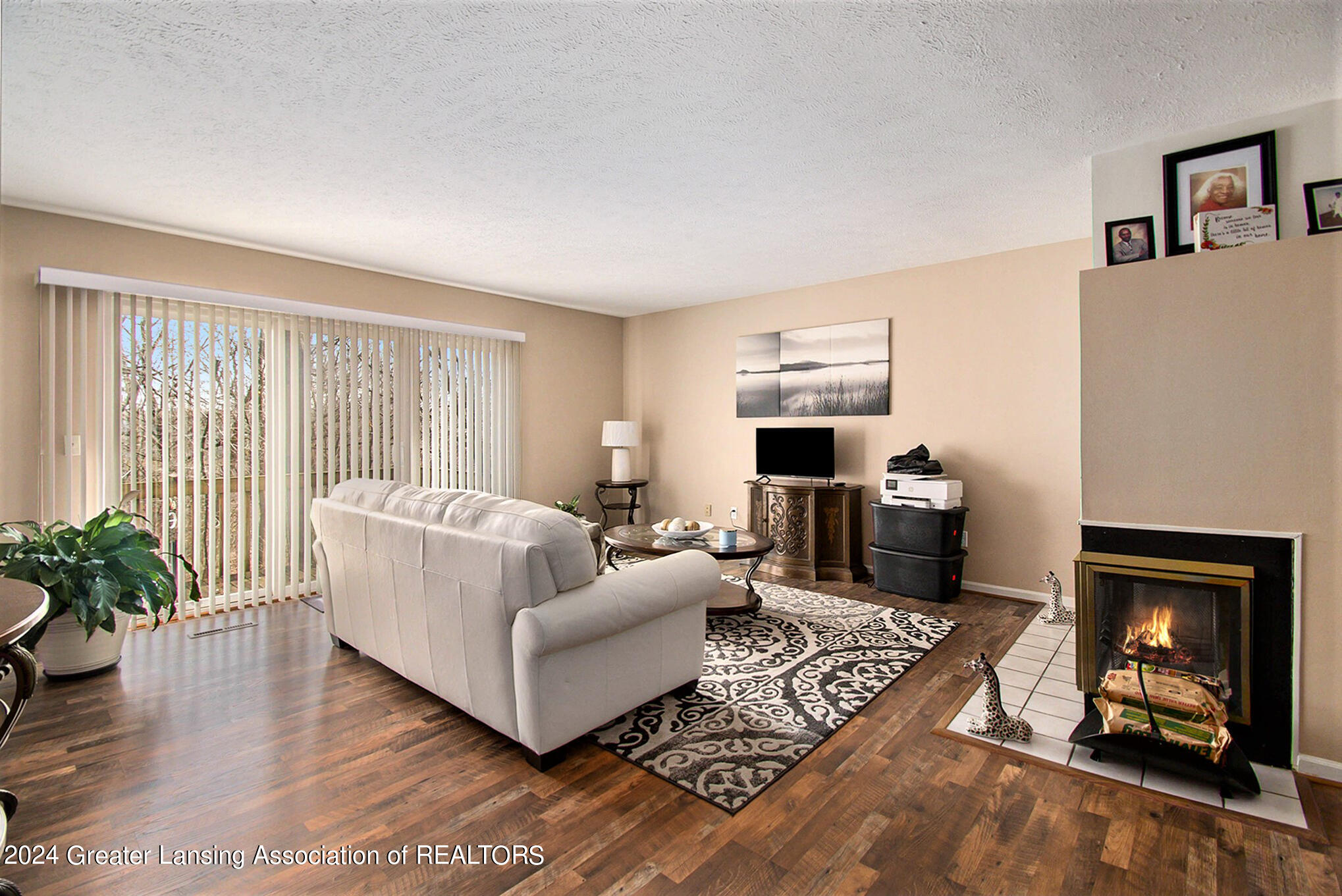 1108 South Ridge Road Lansing, MI 48917 - Photo 8 of 25 009_ndp7566