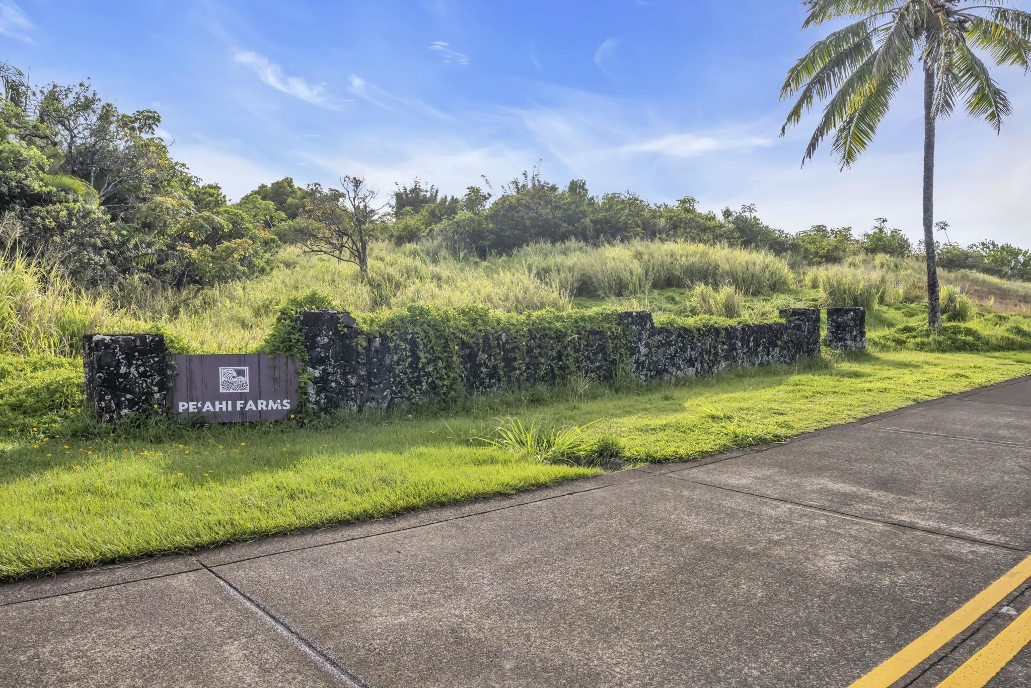 500 Kai Huki Circle, Unit B Haiku, HI 96708 - Photo 32 of 50 a view of a yard and entertaining space