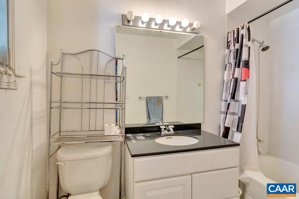 1628 St Annes Road Charlottesville, VA 22901 - Photo 11 of 20 a bathroom with a sink toilet and shower