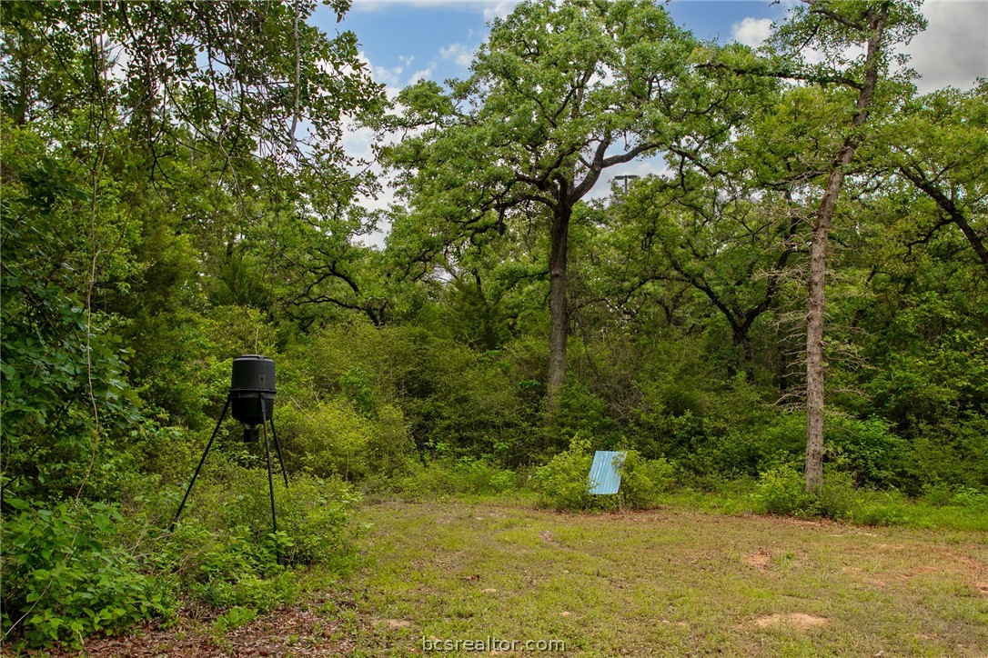 1629 Sawmill Road Franklin, TX 77856 - Photo 42 of 47 a backyard of a house with lots of green space
