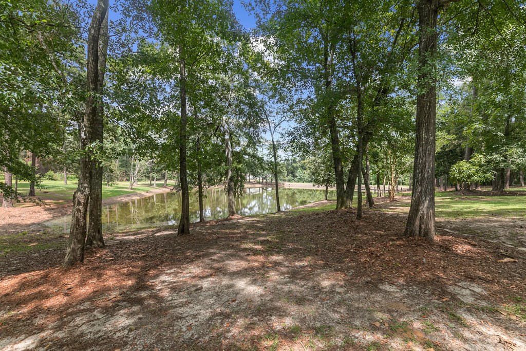 6850 North Co Road Columbia, AL 36319 - Photo 80 of 81