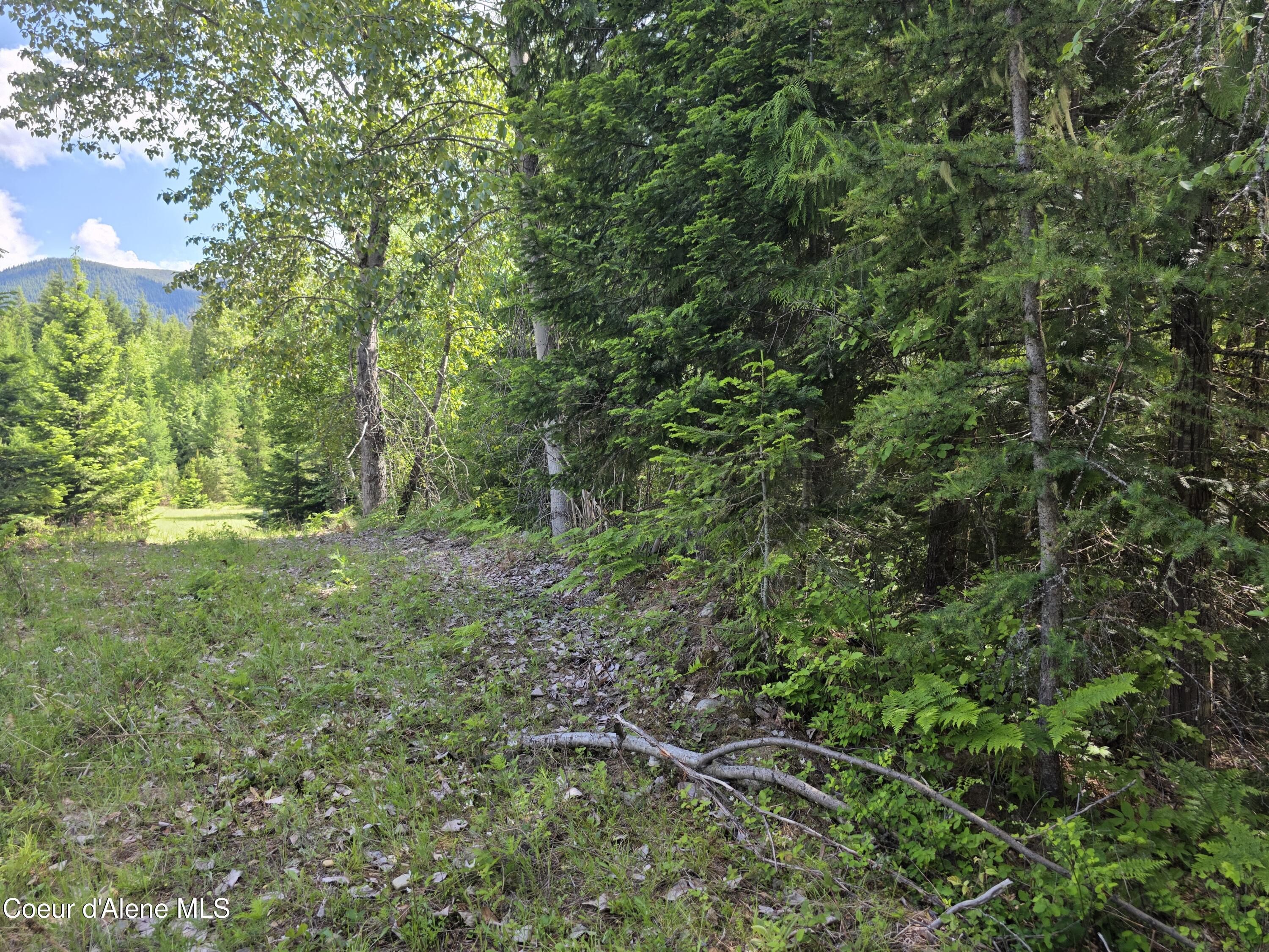 5784 River Road Clark Fork, ID 83811 - Photo 26 of 38 20260604_144023