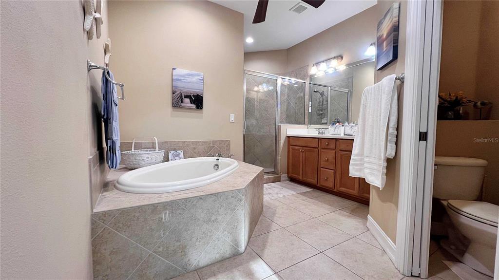 1266 Ribolla Drive Palm Harbor, FL 34683 - Photo 19 of 36