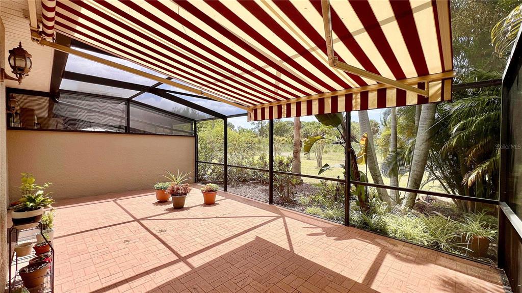 1266 Ribolla Drive Palm Harbor, FL 34683 - Photo 29 of 36