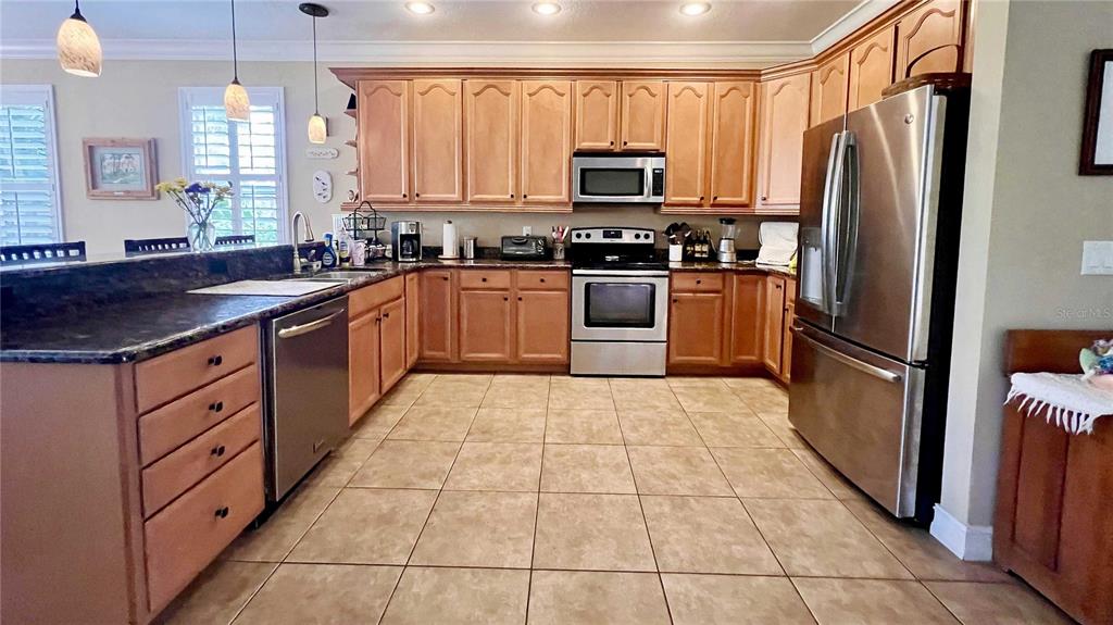 1266 Ribolla Drive Palm Harbor, FL 34683 - Photo 8 of 36