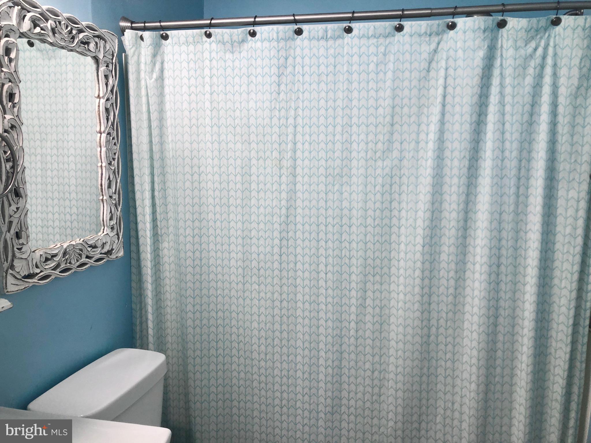 332 Arbutus Drive Edgewater, MD 21037 - Photo 7 of 31 a bathroom with a shower curtain and a sink