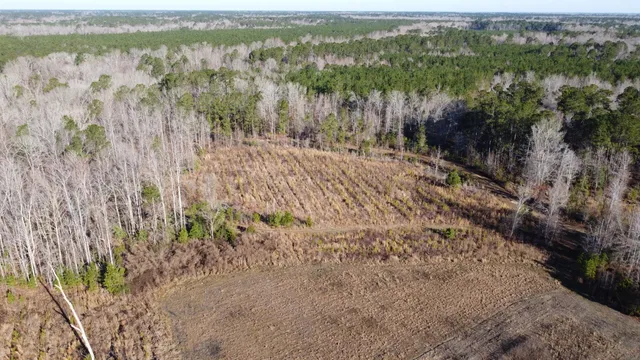 $2,100,000 | 0 Harristown Road, St. Stephen, SC 29479