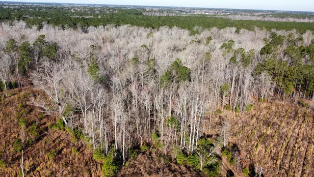 $2,100,000 | 0 Harristown Road, St. Stephen, SC 29479