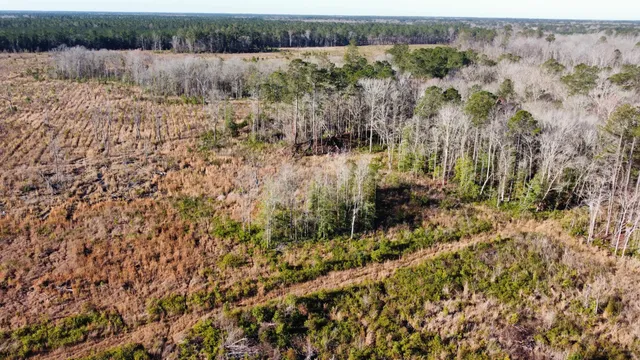 $2,100,000 | 0 Harristown Road, St. Stephen, SC 29479