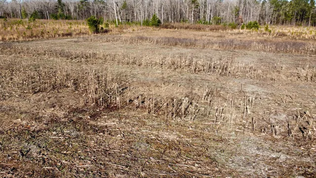 $2,100,000 | 0 Harristown Road, St. Stephen, SC 29479