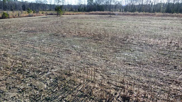 $2,100,000 | 0 Harristown Road, St. Stephen, SC 29479