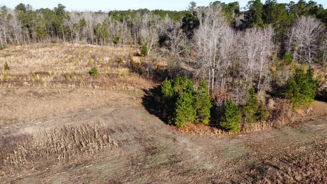 $2,100,000 | 0 Harristown Road, St. Stephen, SC 29479