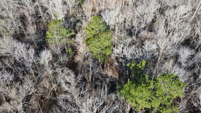 $2,100,000 | 0 Harristown Road, St. Stephen, SC 29479