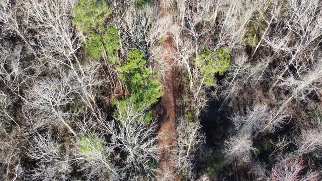 $2,100,000 | 0 Harristown Road, St. Stephen, SC 29479