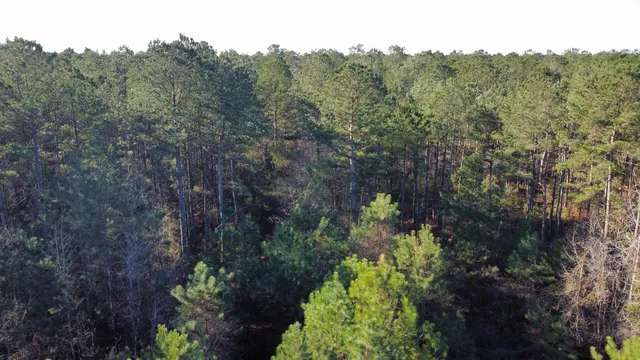 $2,100,000 | 0 Harristown Road, St. Stephen, SC 29479