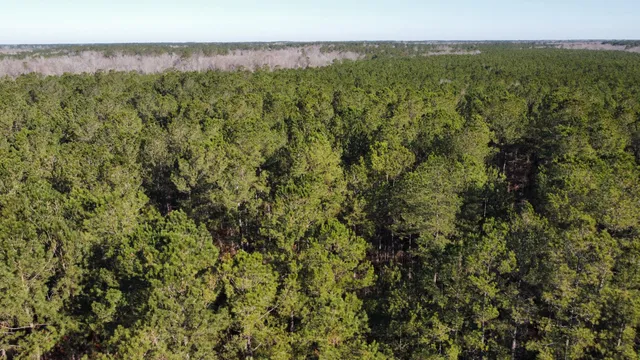 $2,100,000 | 0 Harristown Road, St. Stephen, SC 29479