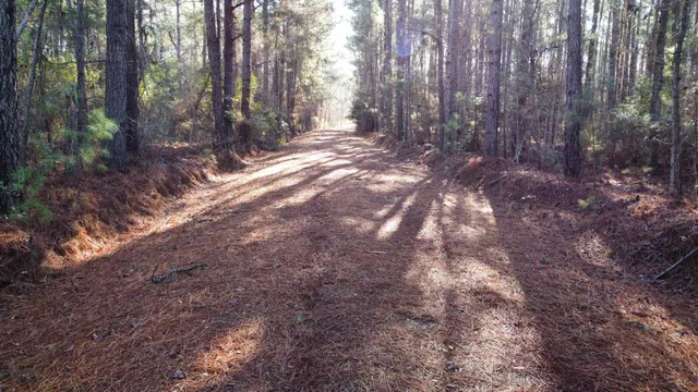 $2,100,000 | 0 Harristown Road, St. Stephen, SC 29479